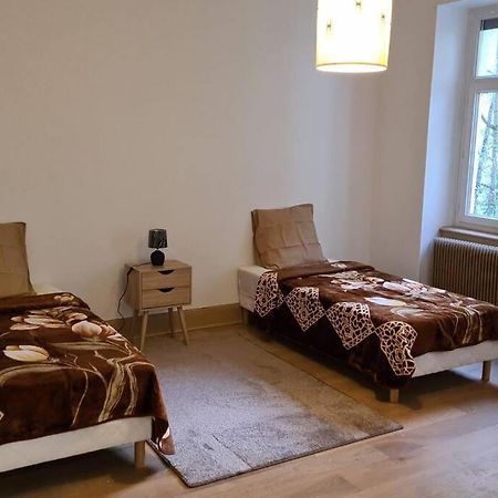 Grand 4P Strasbourg Orangerie 7 Personnes Proche D Allemagne Eksteriør bilde