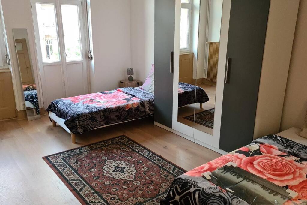 Grand 4P Strasbourg Orangerie 7 Personnes Proche D Allemagne Eksteriør bilde